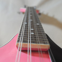 blog logo of The Pink Mandolin