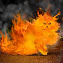 Never Doubt Flame Cat