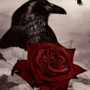 blog logo of The Crow and The Rose