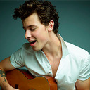 shawn icons.