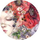 blog logo of Shadowscapes - Stephanie Pui-Mun Law