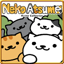 Neko Atsume Tips & Photos!