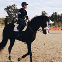 Fearless Equitation