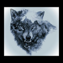 blog logo of red-wolf556