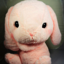 blog logo of ~ Plush Bunny ~