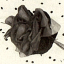 blog logo of The Black Rose