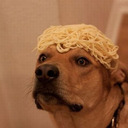 blog logo of sad spaghetti