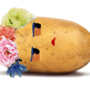 blog logo of Potato crew