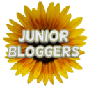 blog logo of JUNIOR BLOGGERS NETWORK