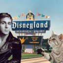 blog logo of ryangoslingdisneylandcats