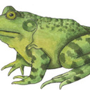 blog logo of jeremiah-was-a-bullfrog