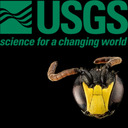 USGS Native Bee Lab