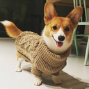 Sweater Weather