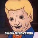 Shaggy This Isnt Weed