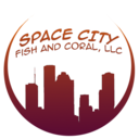 blog logo of spacecityfish