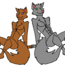 blog logo of Luke And Adrian, The Femboy Wolf Brothers