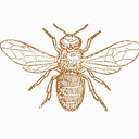 blog logo of oh honey !