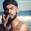 blog logo of The Male Essence