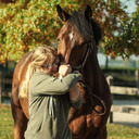  Some very bad equine photography