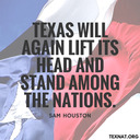 blog logo of A True Son of Texas