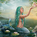 Hippie Mermaid