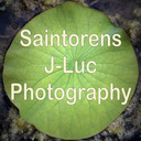 blog logo of Saintorens J-luc Photography