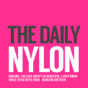 blog logo of The Daily Nylon