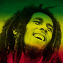 blog logo of robertmarleystuff