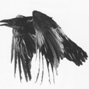 blog logo of Corvus Corax