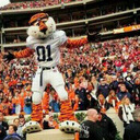 War Damn Eagle