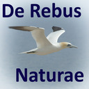 blog logo